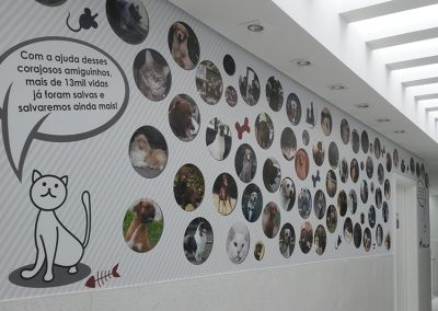Mural animais doadores de Sangue